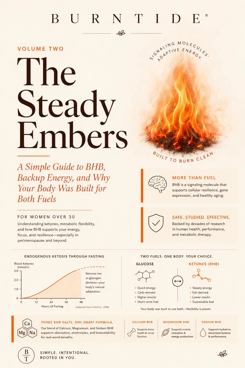 Burntide bonus guide two, The Steady Embers